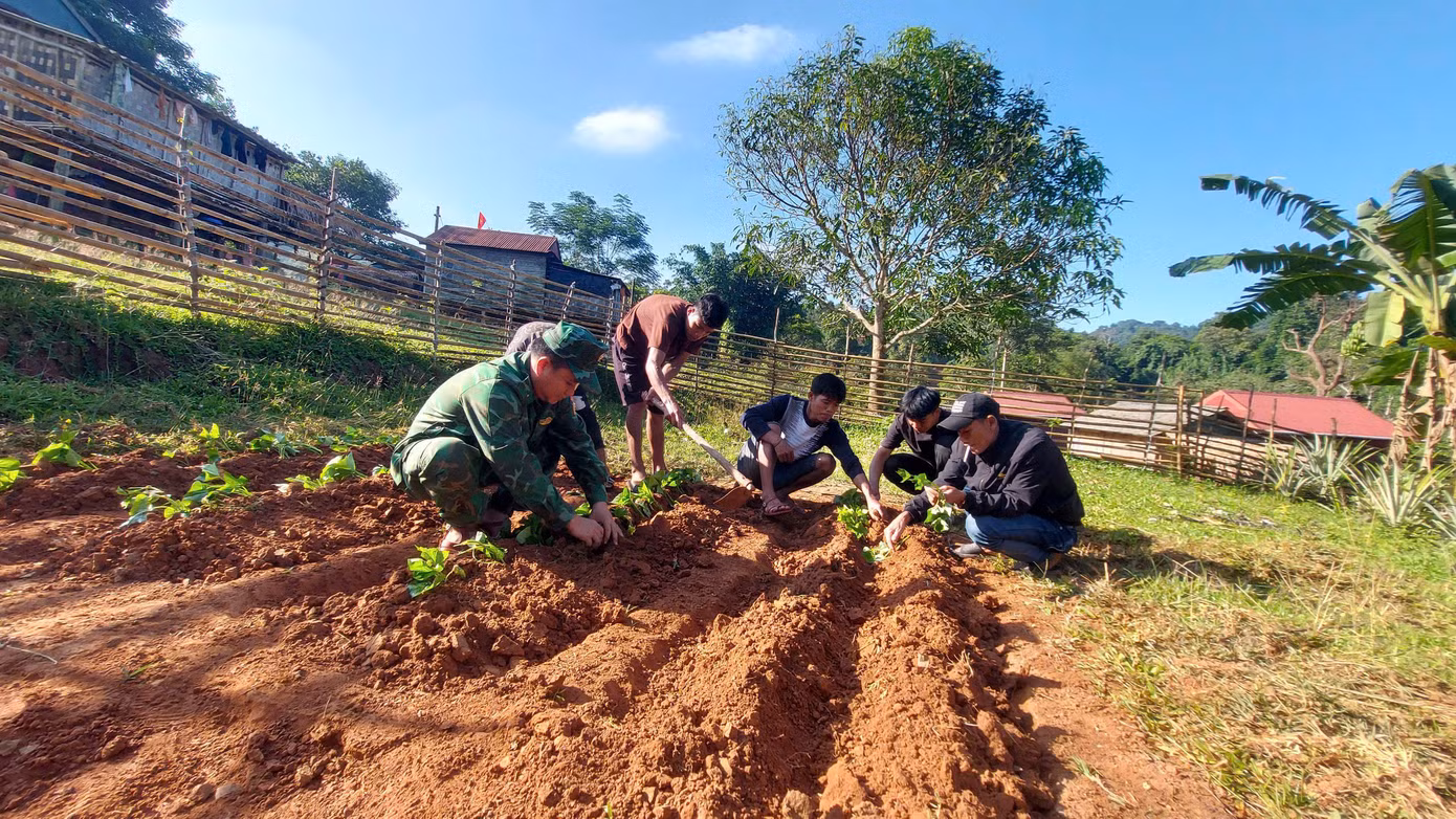 Hằng tuần cán bộ, chiến sĩ các đồn Biên phòng xuống với người dân bản giúp dân cải tạo vườn, chuyển đổi cơ cấu cây trồng.