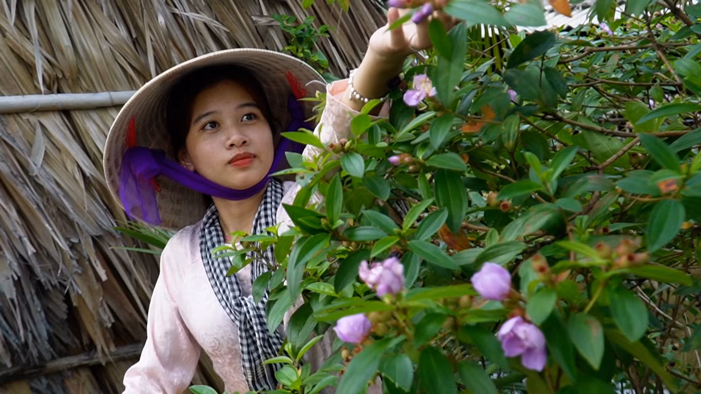 Cây mua là loài cây dại thường mọc ở những nơi ít ánh sáng dưới tán rừng hoặc ven các bờ kênh, bãi hoang, có ở hầu hết vùng miền trên cả nước. Hoa mua có nhiều loại, nhiều màu nhưng chủ yếu màu tím.