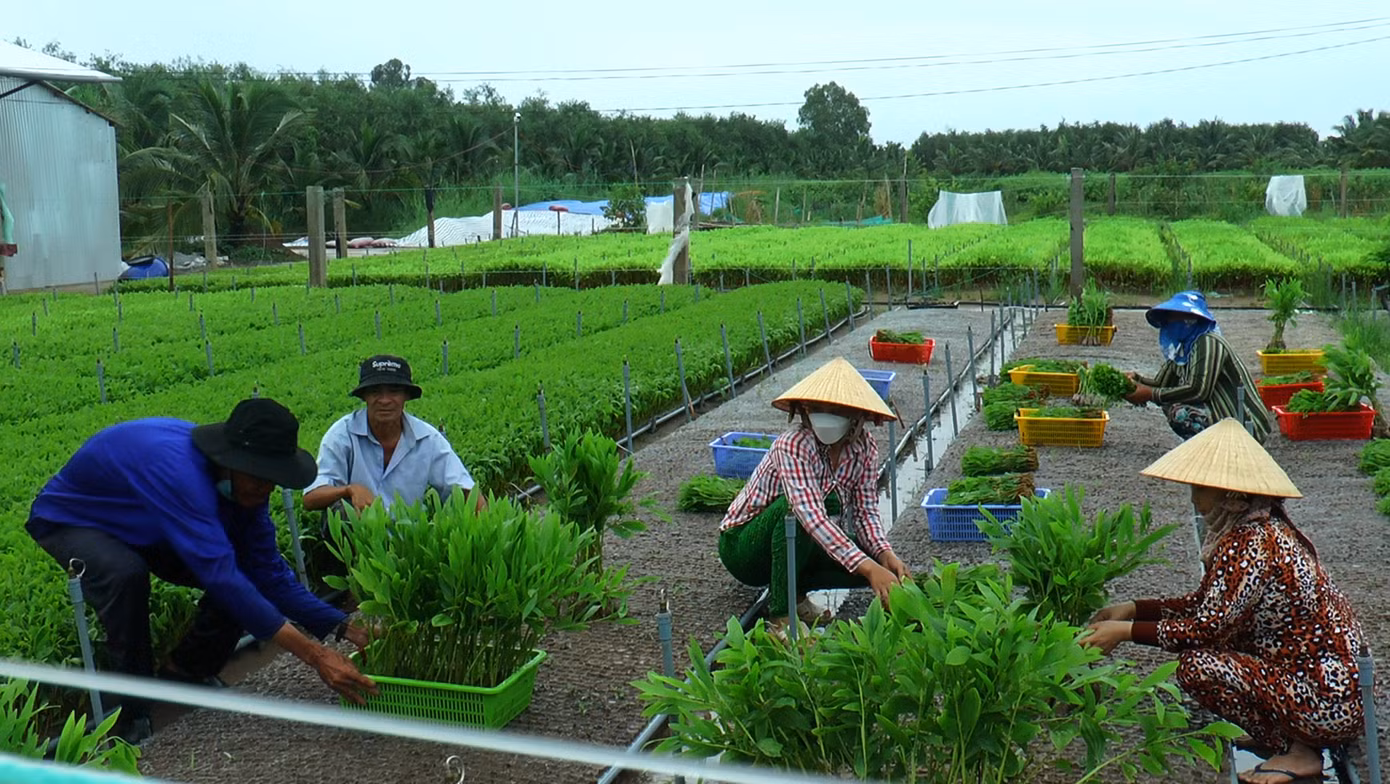 Trương Trọng Nguyễn là một trong những thạc sĩ đầu tiên và hiếm hoi về quê hương phát triển kinh tế rừng, hỗ trợ người dân.
