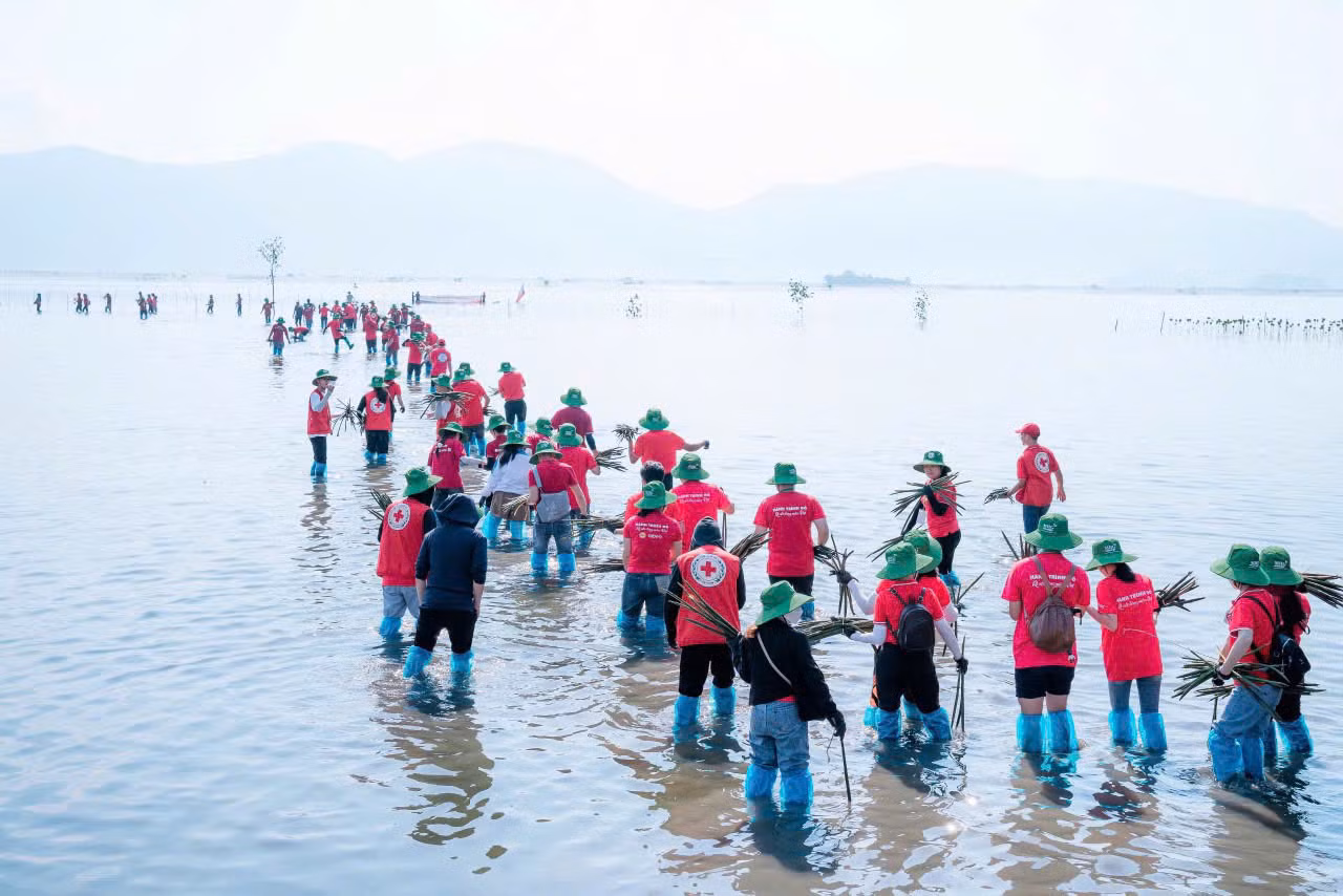 Gần 170 tình nguyện viên đã tham gia trồng rừng ngập mặn tại xã Ninh Ích, thị xã Ninh Hòa, tỉnh Khánh Hòa. Gần 170 tình nguyện viên đã tham gia trồng rừng ngập mặn tại xã Ninh Ích, thị xã Ninh Hòa, tỉnh Khánh Hòa.