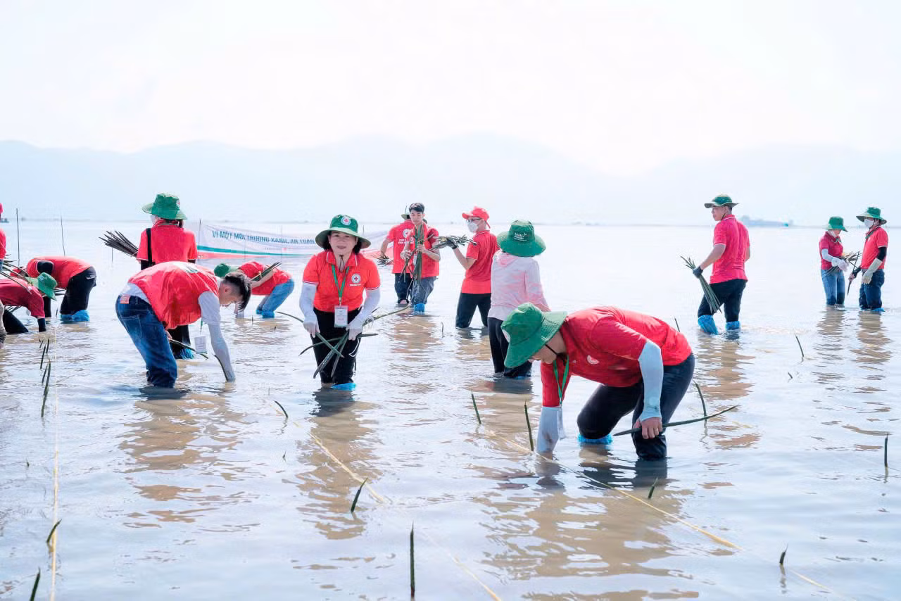 Các tình nguyện viên hào hứng trồng rừng ngập mặn, bày tỏ niềm hy vọng chồi non từ những cây đước sẽ vươn mình để bảo vệ cuộc sống và tạo sinh kế cho người dân địa phương. Các tình nguyện viên hào hứng trồng rừng ngập mặn, bày tỏ niềm hy vọng chồi non từ những cây đước sẽ vươn mình để bảo vệ cuộc sống và tạo sinh kế cho người dân địa phương.