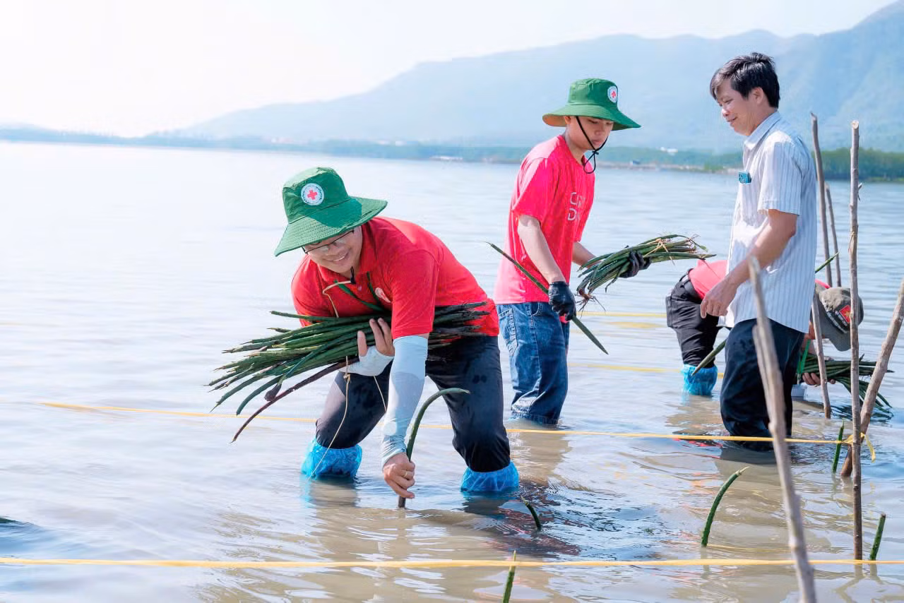 Tại đây, các tình nguyện viên đã ngâm bùn, đội nắng, cắm sâu hàng ngàn cây đước non trên diện tích 1ha rừng ngập mặn. Tại đây, các tình nguyện viên đã ngâm bùn, đội nắng, cắm sâu hàng ngàn cây đước non trên diện tích 1ha rừng ngập mặn.