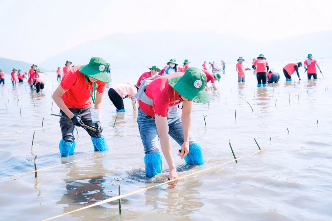 Ông Vũ Thanh Lưu - Phó Chủ tịch Hội Chữ thập đỏ Việt Nam, chia sẻ: Đây là hoạt động vô cùng thiết thực trong khuôn khổ hội trại, nhằm cụ thể hóa mục tiêu của phong trào về chuyển đổi xanh, hành động sớm để bảo vệ môi trường và giảm thiểu rủi ro thiên tai mà Hội Chữ thập đỏ Việt Nam đang tiên phong thực hiện. Ông Vũ Thanh Lưu - Phó Chủ tịch Hội Chữ thập đỏ Việt Nam, chia sẻ: Đây là hoạt động vô cùng thiết thực trong khuôn khổ hội trại, nhằm cụ thể hóa mục tiêu của phong trào về chuyển đổi xanh, hành động sớm để bảo vệ môi trường và giảm thiểu rủi ro thiên tai mà Hội Chữ thập đỏ Việt Nam đang tiên phong thực hiện.