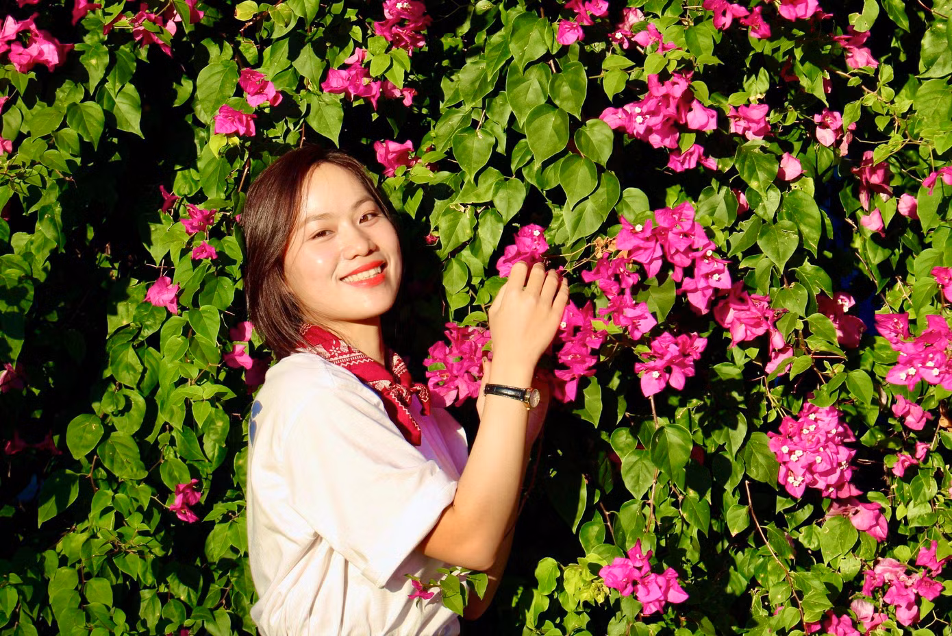 Bạn Trần Thị Hằng (sinh viên Trường Đại học Khánh Hòa) cho biết: “Hoa giấy là loài hoa mộc mạc và màu sắc vốn đã lung linh, nên chỉ cần diện trang phục dịu dàng và tạo dáng tự nhiên nhất là đã có được những tấm hình đẹp”.