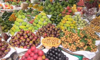 Cùng Đồng bằng sông Cửu Long phát triển bền vững ảnh 1