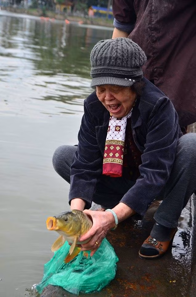 Dân Hà thành thả cá chép 'khủng' tiễn Táo quân ảnh 2