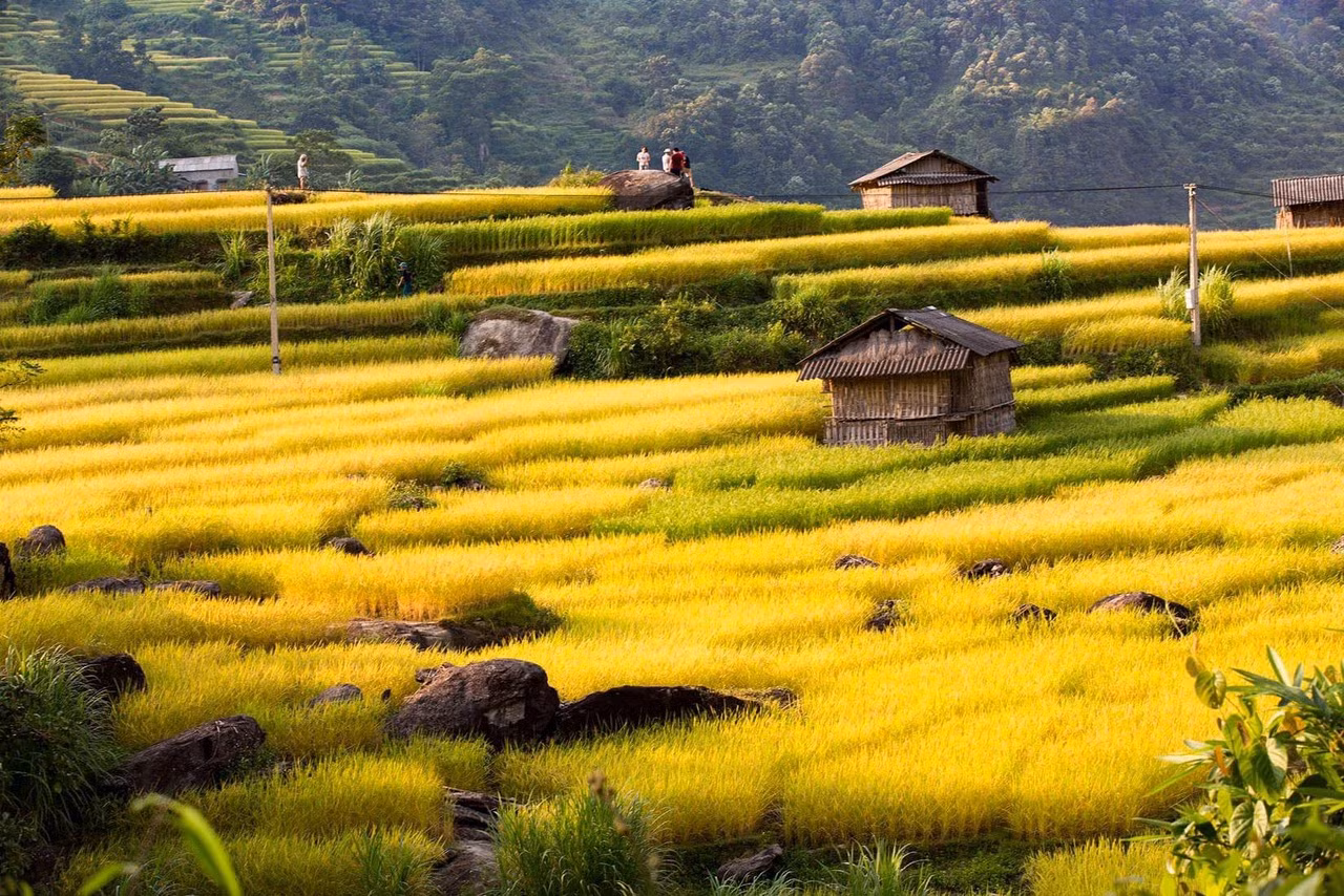 Bên cạnh ruộng bậc thang, Nấm Dẩn còn nổi tiếng với các di tích lịch sử như Bãi đá cổ Nấm Dẩn, bốt Đèo gió, Thác tiên… Bên cạnh ruộng bậc thang, Nấm Dẩn còn nổi tiếng với các di tích lịch sử như Bãi đá cổ Nấm Dẩn, bốt Đèo gió, Thác tiên…