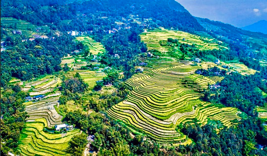 Từ trên cao, sóng lúa xã Bản Díu mênh mang một màu vàng rực rỡ, đẹp đến mê hồn. Từ trên cao, sóng lúa xã Bản Díu mênh mang một màu vàng rực rỡ, đẹp đến mê hồn.