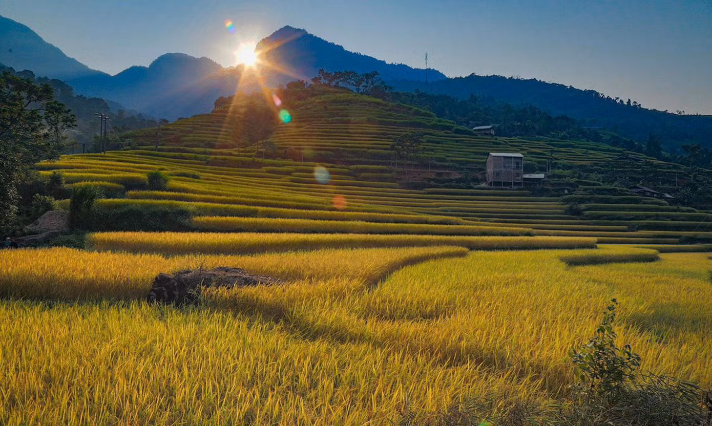 Nhiều du khách khi đến Nấm Dẩn đã phải thốt lên rằng, mùa Thu đã khiến Nấm Dẩn bỗng chốc biến hóa thành nàng sơn nữ kiều diễm, lung linh sắc màu và đây được coi là một trong những tọa độ check-in ruộng bậc thang đẹp nhất Hà Giang. Nhiều du khách khi đến Nấm Dẩn đã phải thốt lên rằng, mùa Thu đã khiến Nấm Dẩn bỗng chốc biến hóa thành nàng sơn nữ kiều diễm, lung linh sắc màu và đây được coi là một trong những tọa độ check-in ruộng bậc thang đẹp nhất Hà Giang.