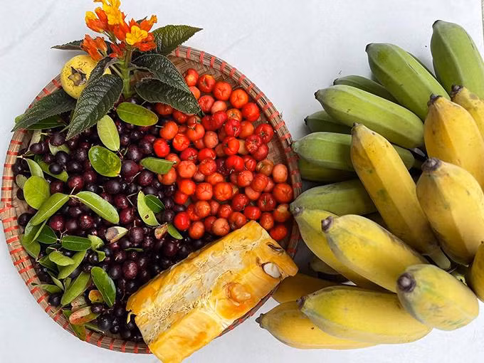 Cherry, mít và sơ ri trong vườn nhà Việt Hoàn