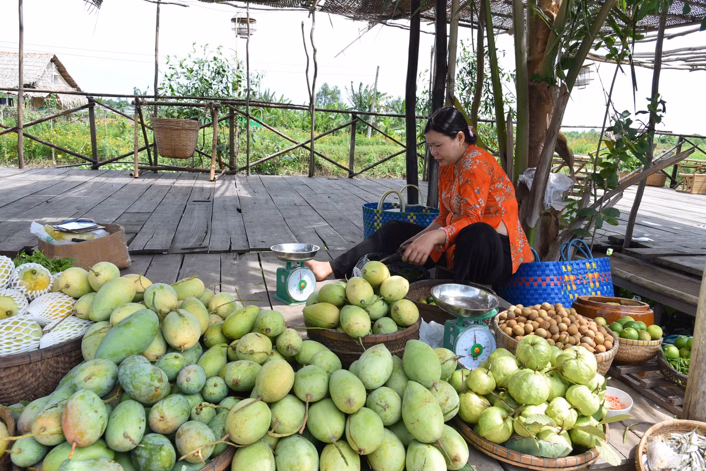 Trong những ngày đầu thành lập, Chợ quê cù lao Tân Thuận Đông được đầu tư xây dựng 25 quầy hàng và có 57 người đăng ký bán hàng, do người dân địa phương thuộc hộ khó khăn, hộ nghèo, cận nghèo bán.
