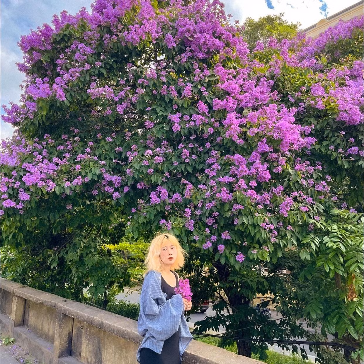 Giới trẻ rủ nhau tranh thủ check-in cùng hoa bằng lăng tím (Ảnh: Instagram foodbycuu 2).