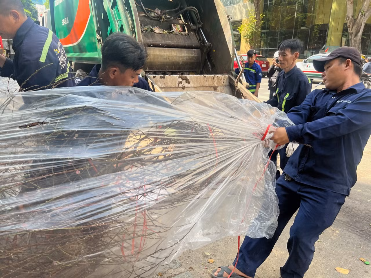 Nhiều cây đào lớn không bán được, tiểu thương bỏ lại. Nhân viên vệ sinh mang đi ép rác.