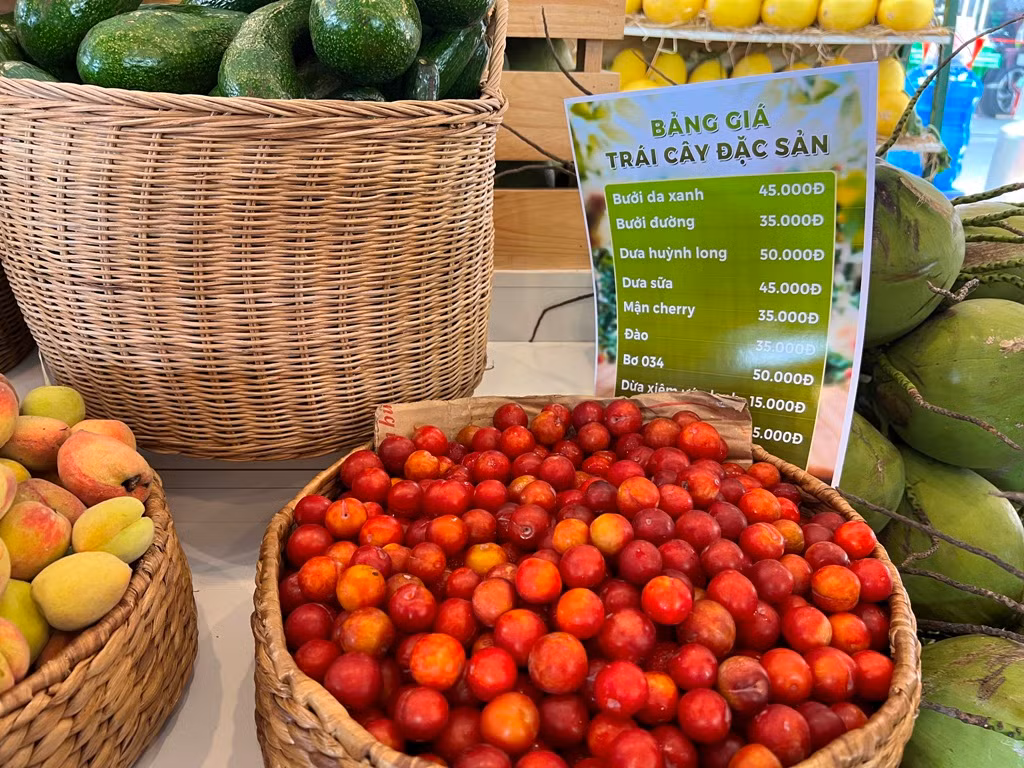 Mận cherry của Hà Giang lần đầu được giới thiệu tại phiên chợ nông sản đã nhanh chóng "cháy hàng" vì ngon - độc - lạ và giá cực mềm, 35.000 đồng/kg. “Chúng tôi chỉ có một số lượng rất nhỏ đào Sa Pa và mận Cherry để giới thiệu đến khách hàng trong dịp này. Khi khách hàng biết đây là những đặc sản của Sa Pa, mọi người đều thích thú và ủng hộ nhiệt tình. Gần 50 kg đào và mận đều cháy hàng chỉ trong buổi sáng” - nhân viên quầy hàng nói.