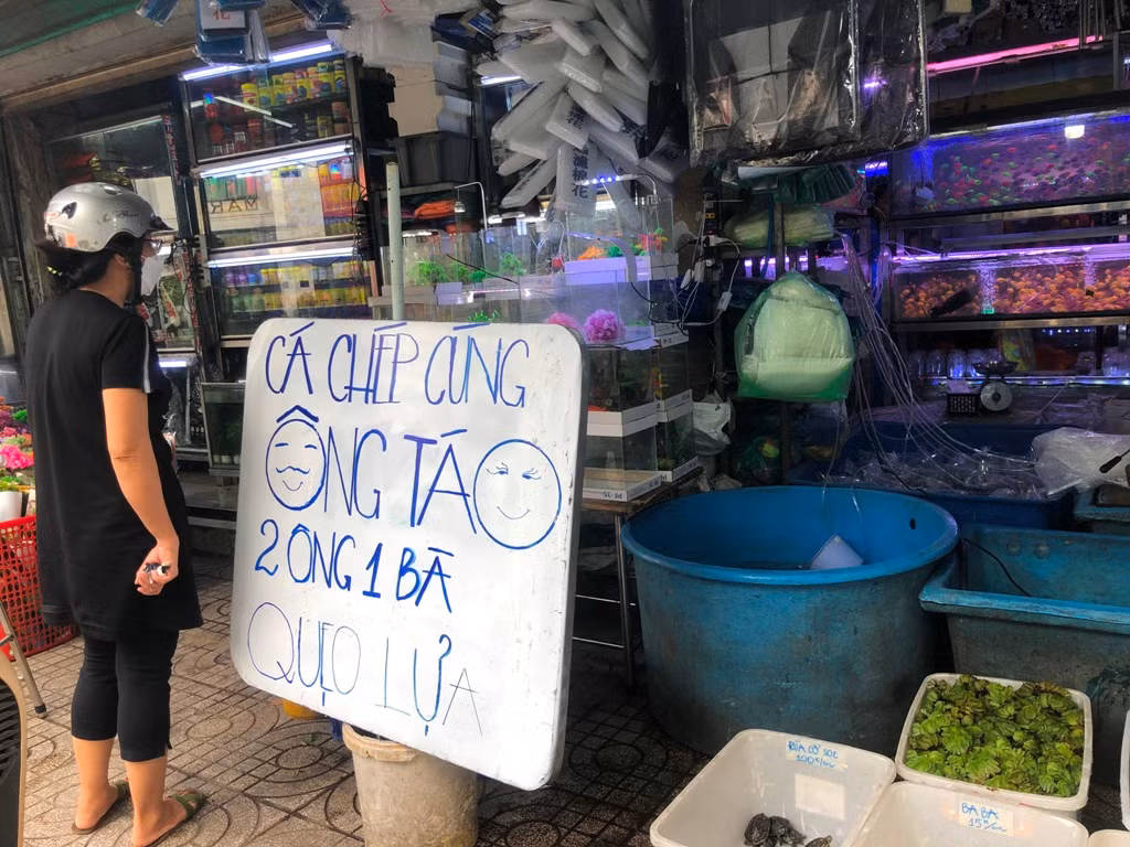 Chiều 13/1 (tức 22 tháng Chạp), trên đường Nguyễn Thông (quận 3, TPHCM), các điểm bán cá cảnh đã treo biển chào mời mua cá chép "2 ông 1 bà" để đưa ông Táo về trời. Theo đó, 3 con cá chép có giá 100.000 đồng được nhiều khách hàng chọn mua. Đây là cá chép cỡ nhỏ bằng 2 ngón tay, trong khi cá chép lớn hơn có giá 50.000 đồng/con.