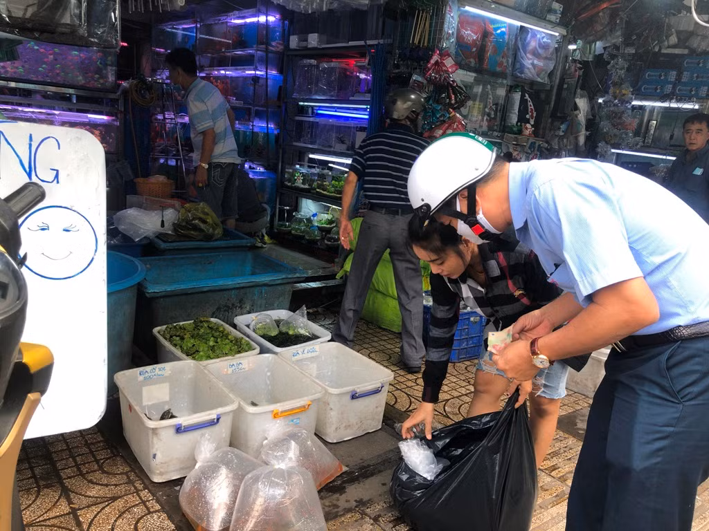 Nhiều tiệm còn chuẩn bị sẵn cá trong các bịch lớn được thổi oxy, mỗi bịch dao động từ 70.000-100.000 đồng, người dân thường mua để phóng sinh trong ngày này.