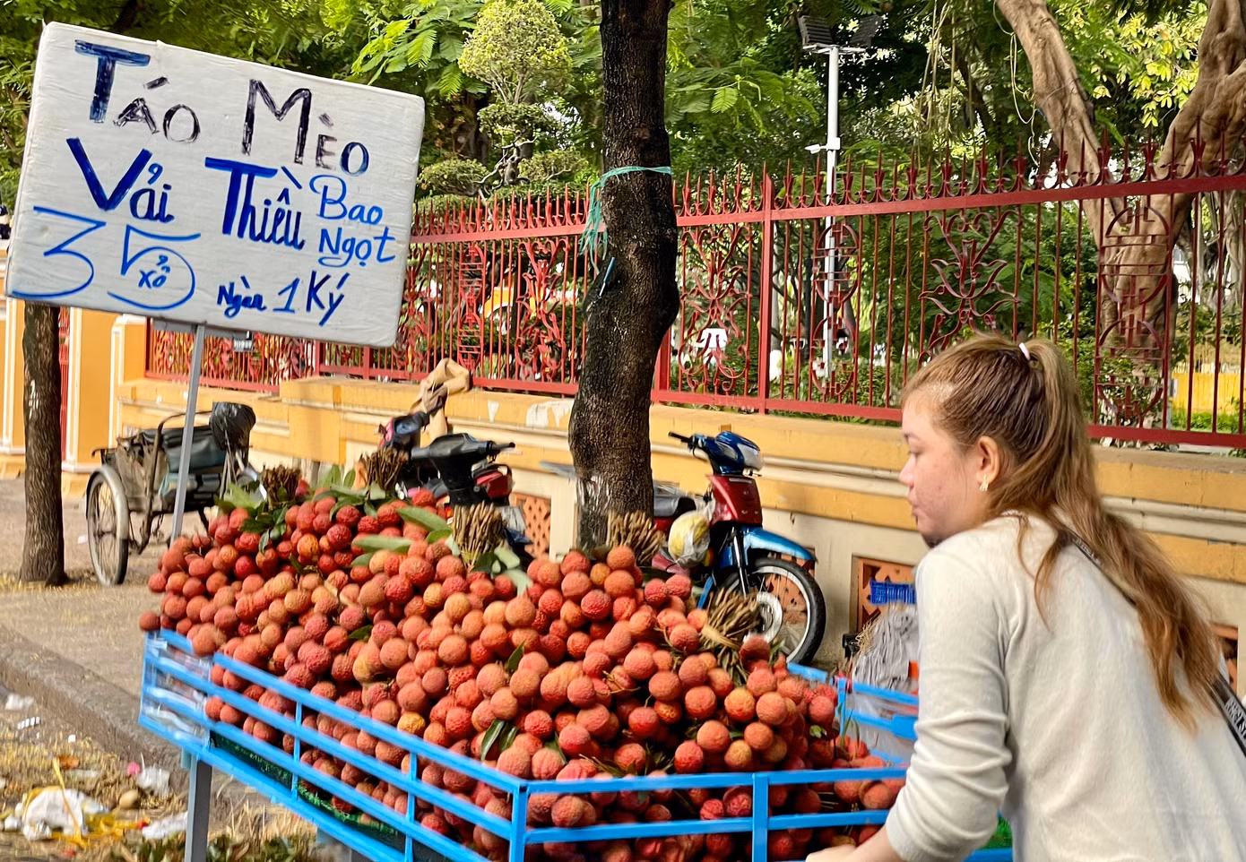 Người bán đưa vải thiều đến từng nhà dân để bán hàng