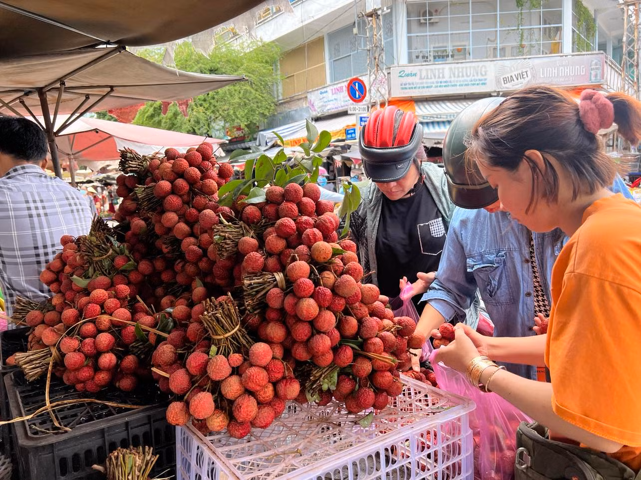 Giá chỉ 30.000 đồng/kg, bà nội trợ chen nhau lựa mua