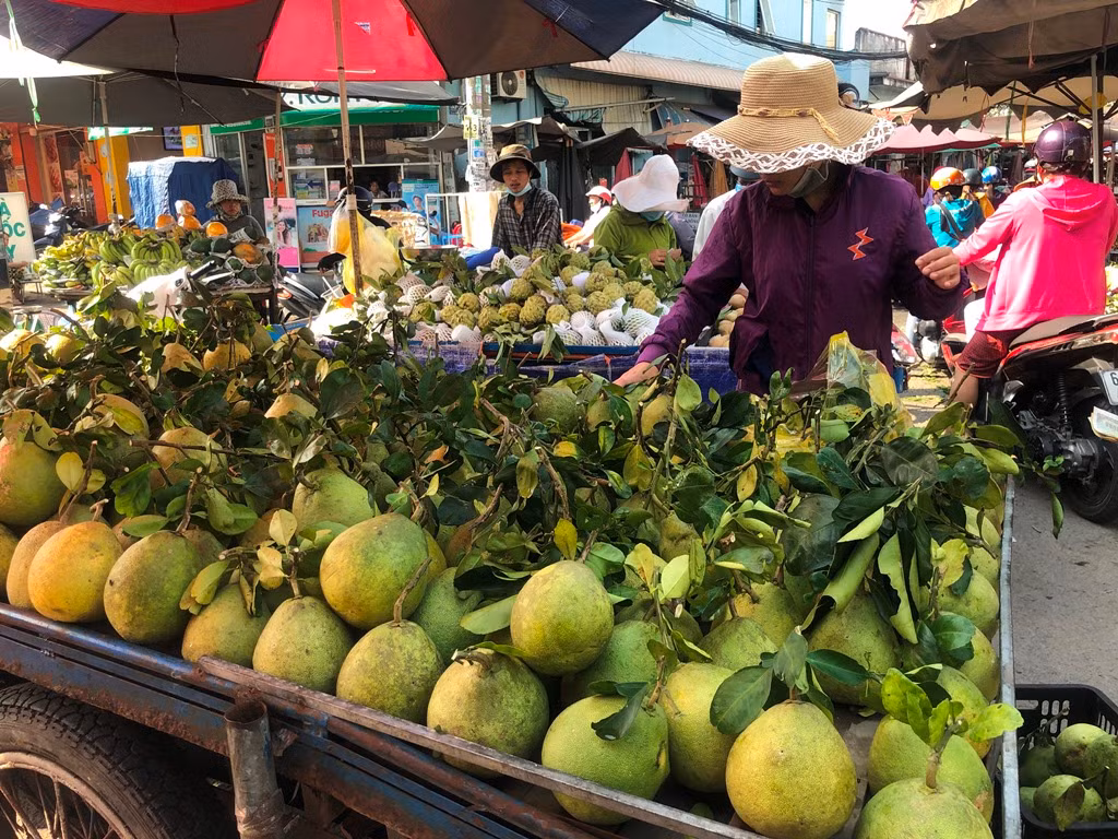 Bưởi trái còn nguyên cành có giá chỉ từ 20.000 đồng/kg.