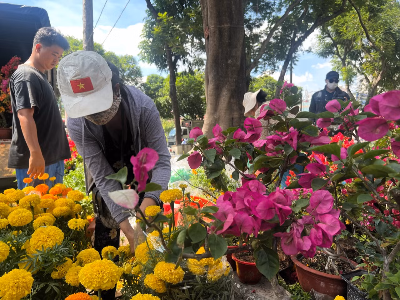 Hoa vạn thọ, hoa giấy... có giá cả trăm nghìn đồng/chậu nhưng tiểu thương không giảm giá. Tới giờ trả mặt bằng, họ quyết định tự cắt hoa để lấy chậu mang về.