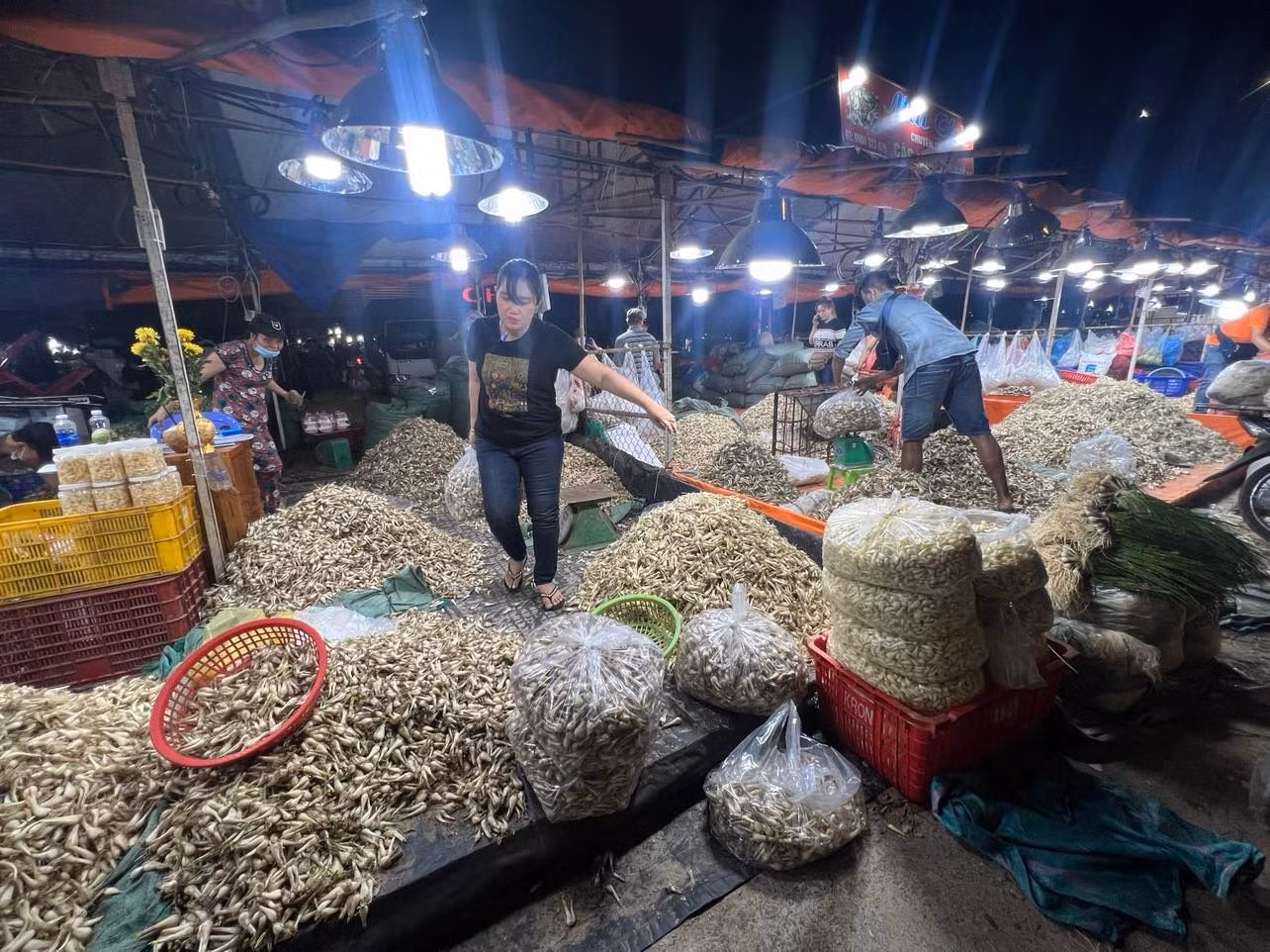 Chợ đầu mối Thủ Đức đã dành riêng một khu vực riêng để kinh doanh mặt hàng kiệu Tết