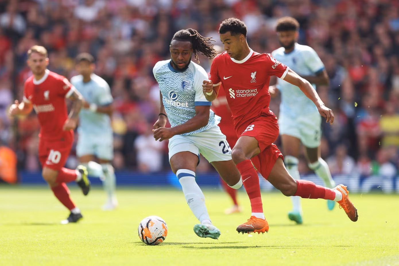 Liverpool bất bại 15/16 lần ra sân gần nhất
