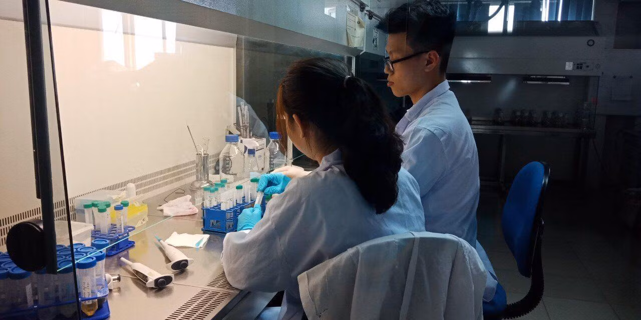 Nhóm mong muốn tìm phương pháp trị bệnh bạc lá lúa bằng phương pháp thân thiện với môi trường.