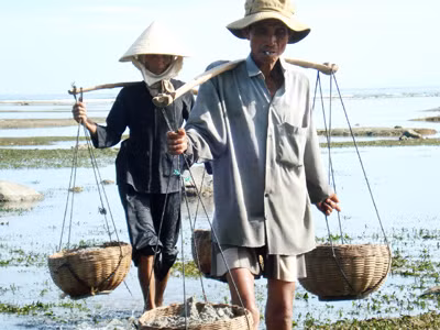 Hiếm hoi bóng dáng đàn ông 