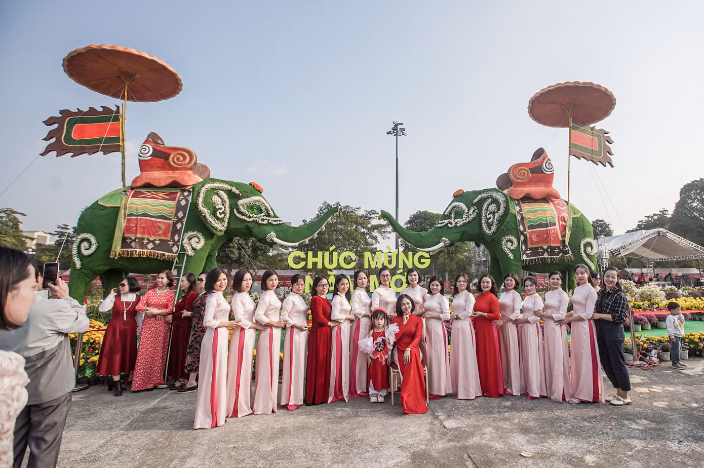 Khu vực tượng voi hút khách.