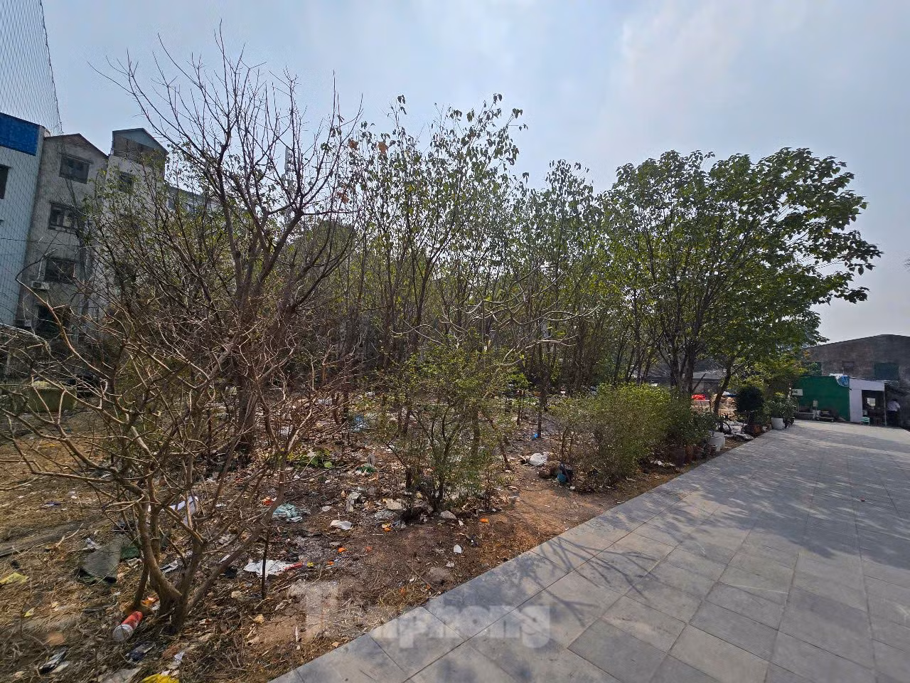 Thực hiện Kết luận của Thanh tra Chính phủ, UBND TP Hà Nội đã thu hồi và giao diện tích đất trên cho Trung tâm phát triển quỹ đất Hà Nội quản lý, đề xuất phương án khai thác theo quy định (ảnh: Một phần khu đất bị thu hồi đang để hoang).