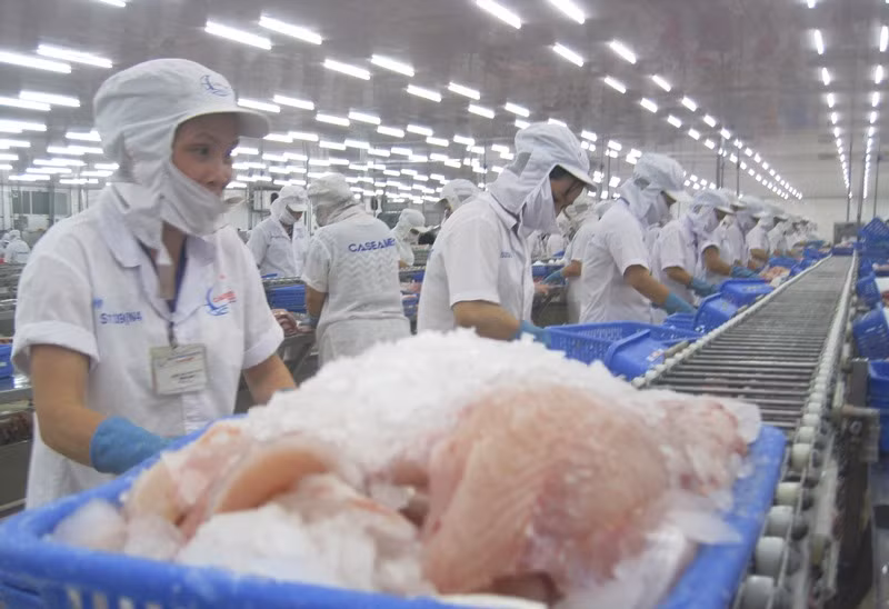 Các nhà máy chế biến thủy sản thiếu nguyên liệu trầm trọng ảnh 1