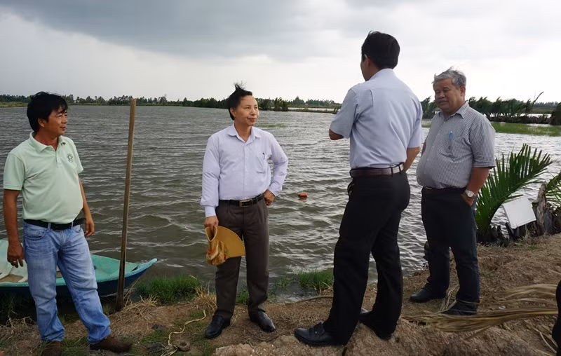 Người dân trúng đậm nhờ nuôi tôm càng xanh với lúa ảnh 2