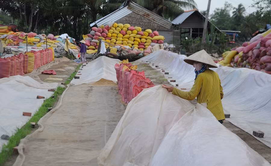 Đề nghị kiểm tra, hủy toàn bộ tờ khai xuất khẩu gạo lúc 0 giờ ảnh 2