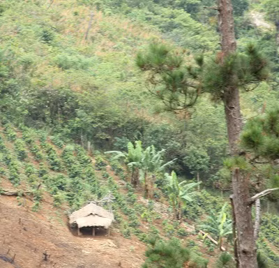 Hãi hùng vùng đất cứ đẻ sinh đôi thì giết một bé cúng Giàng ảnh 2