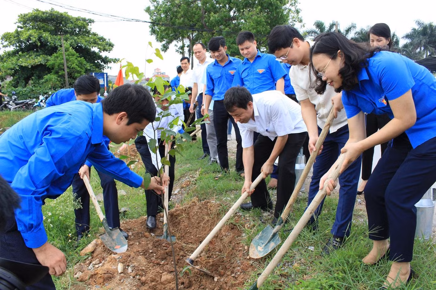 Tuổi trẻ Bắc Ninh trồng cây xanh