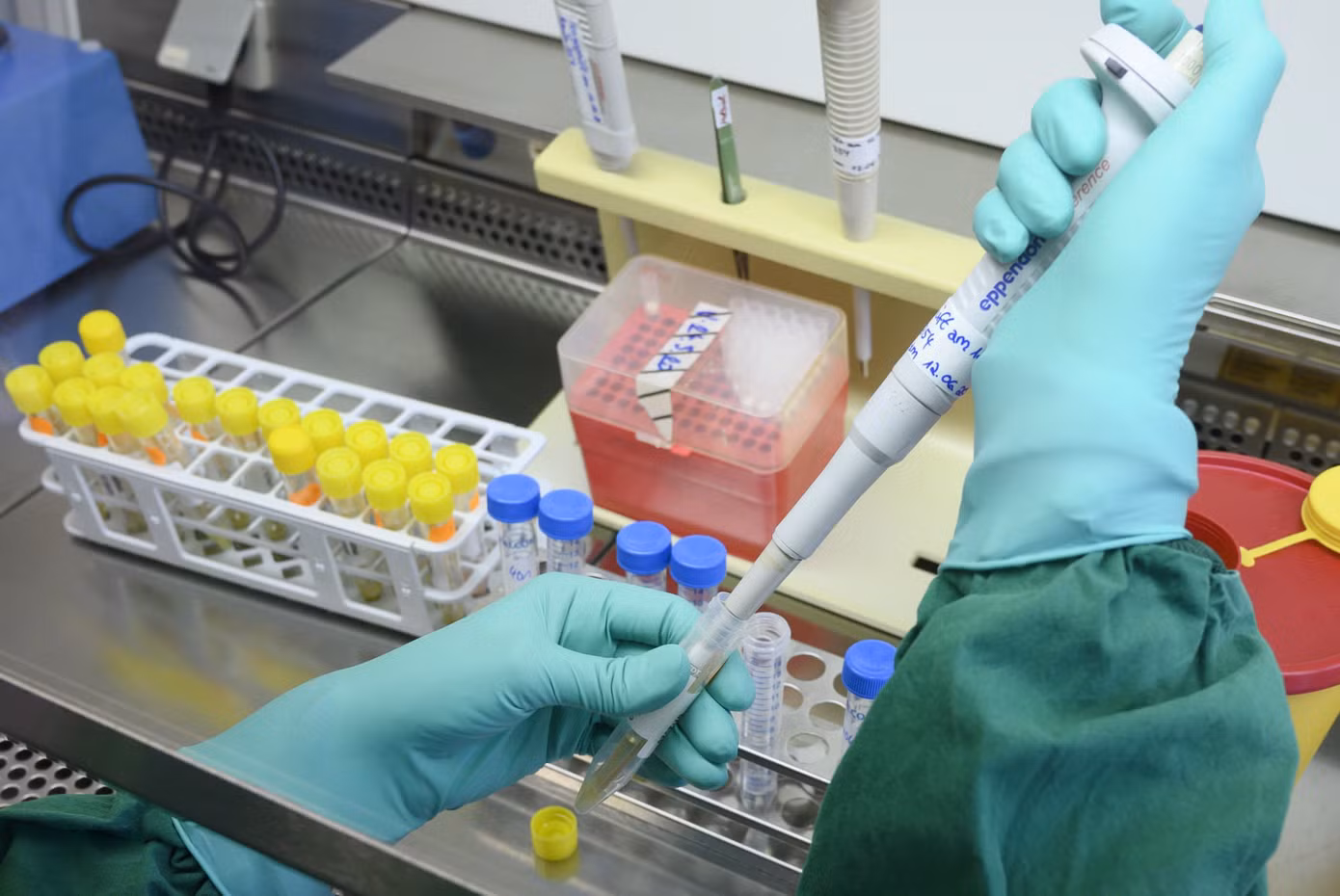 TPHCM đã phát hiện thêm 3 biến thể phụ mới của Omicron qua giải mã trình tự gen