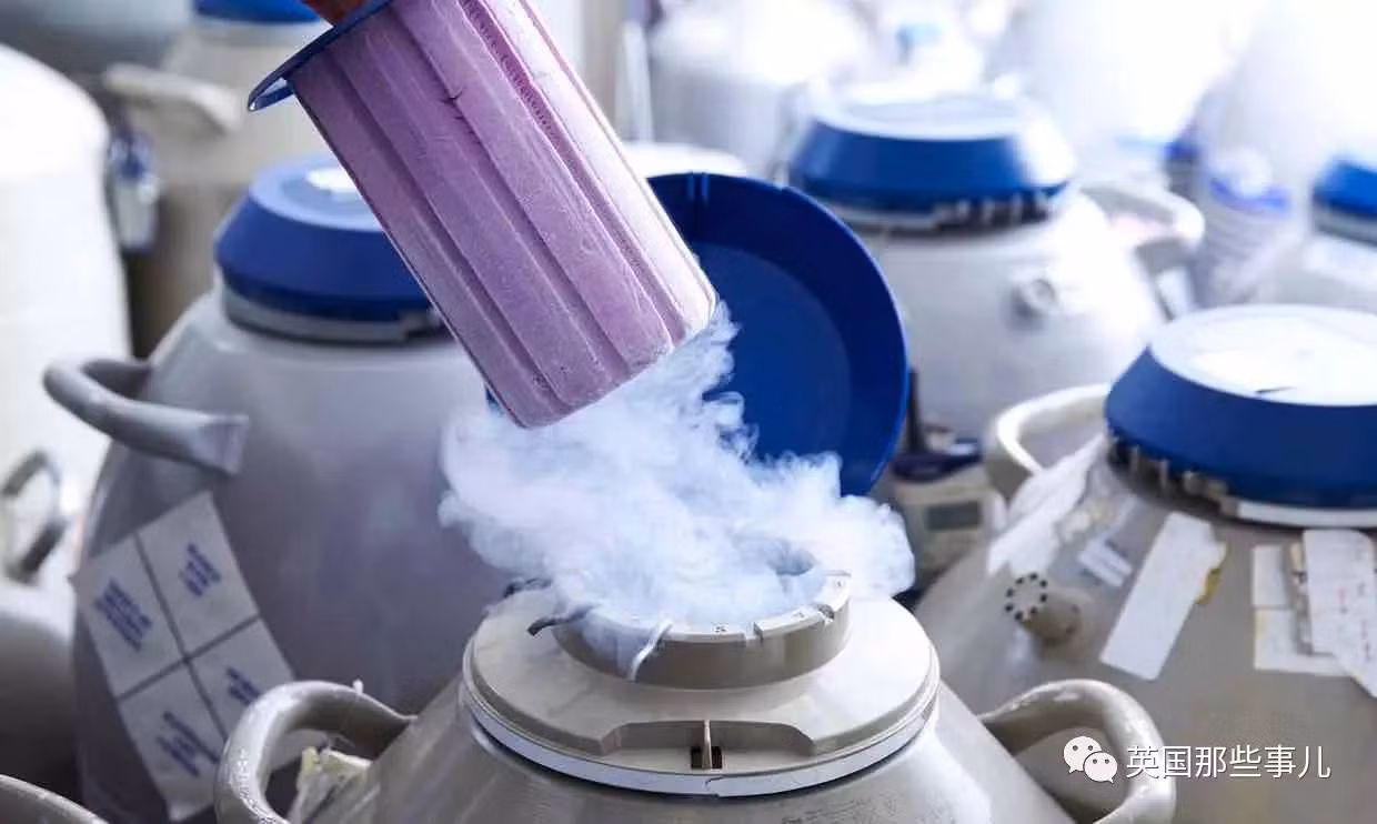 Đông lạnh trứng đang là giấc mơ của nhiều phụ nữ độc thân Trung Quốc