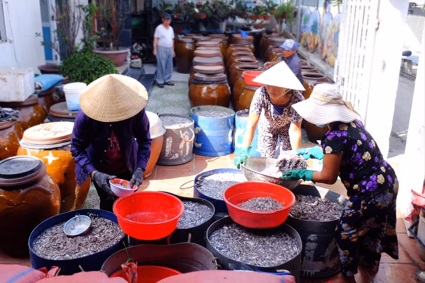 Nghề làm nước mắm Nam Ô Ảnh: Giang Thanh