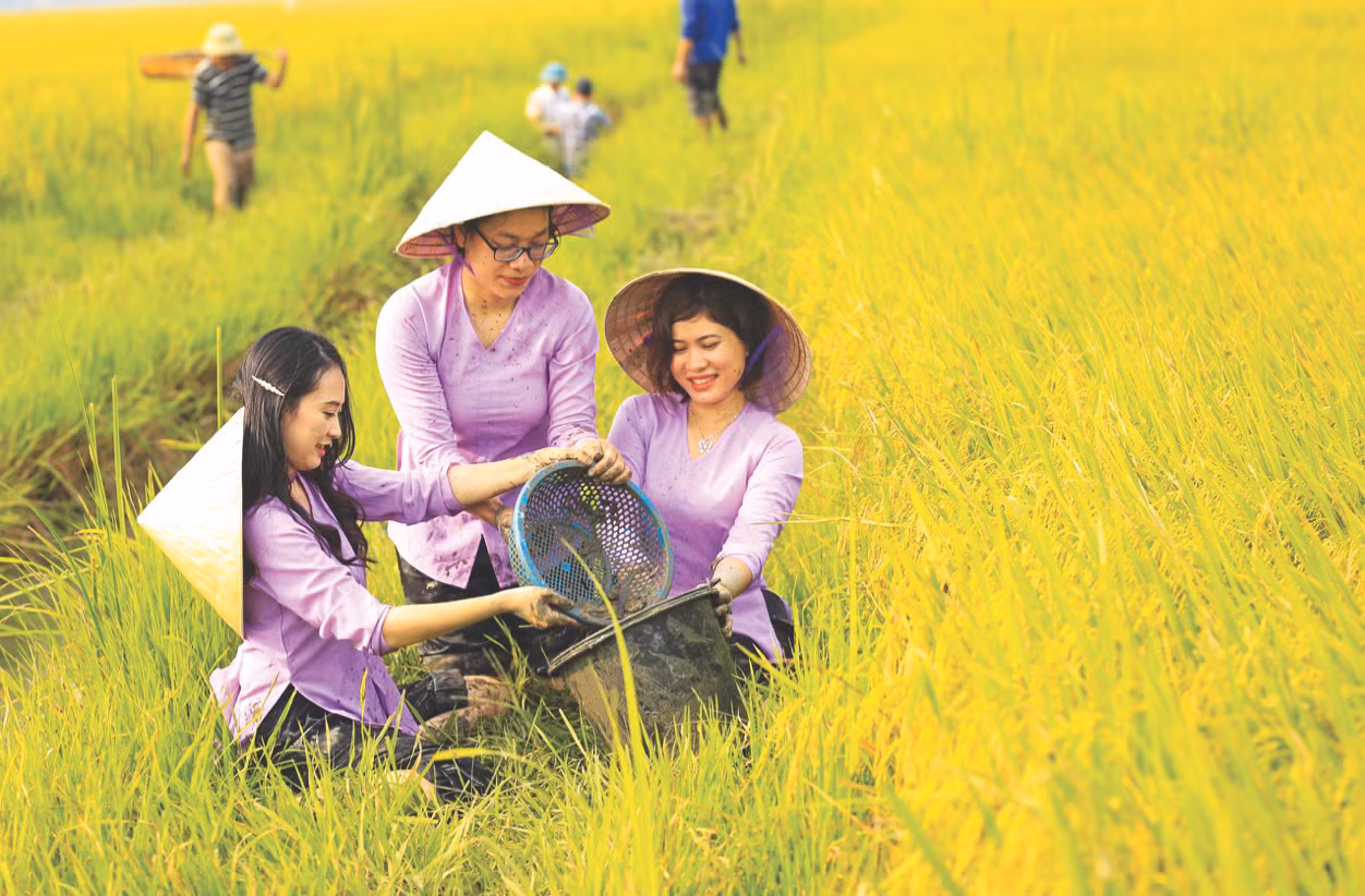 Nữ doanh nhân Phạm Thị Diễm Lệ và niềm vui được mùa