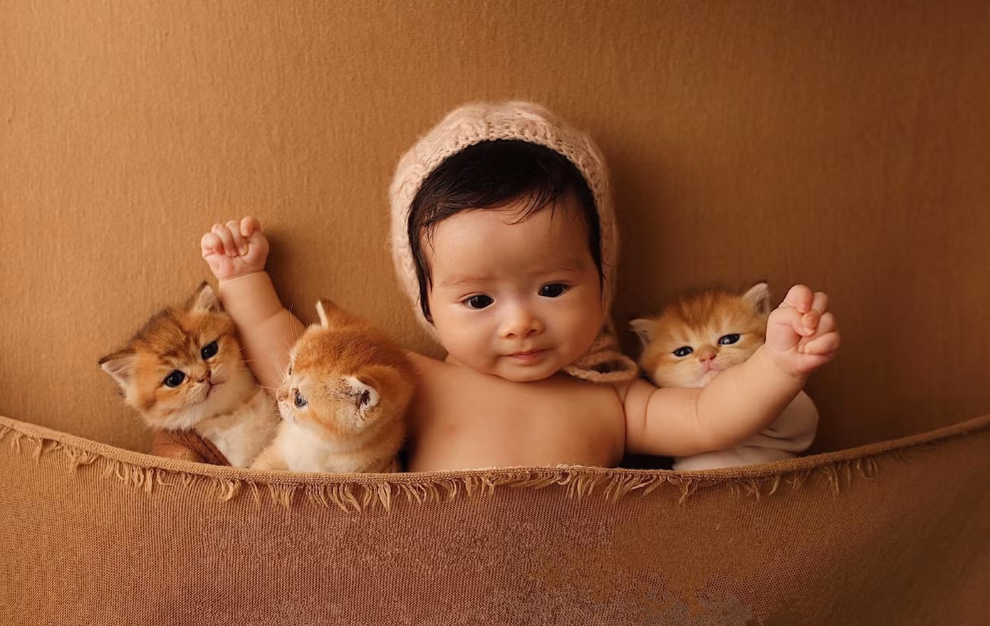 Bé Mi Lan được làm bạn với mèo ngay từ bé Bé Mi Lan được làm bạn với mèo ngay từ bé