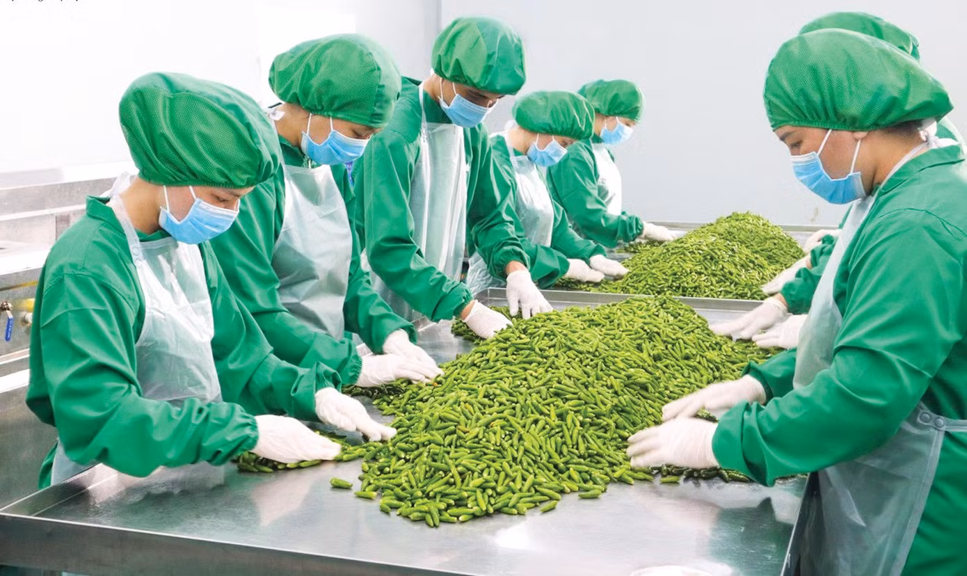 Nhiều gia vị Việt rộng cửa xuất khẩu thông qua kênh kiều bào