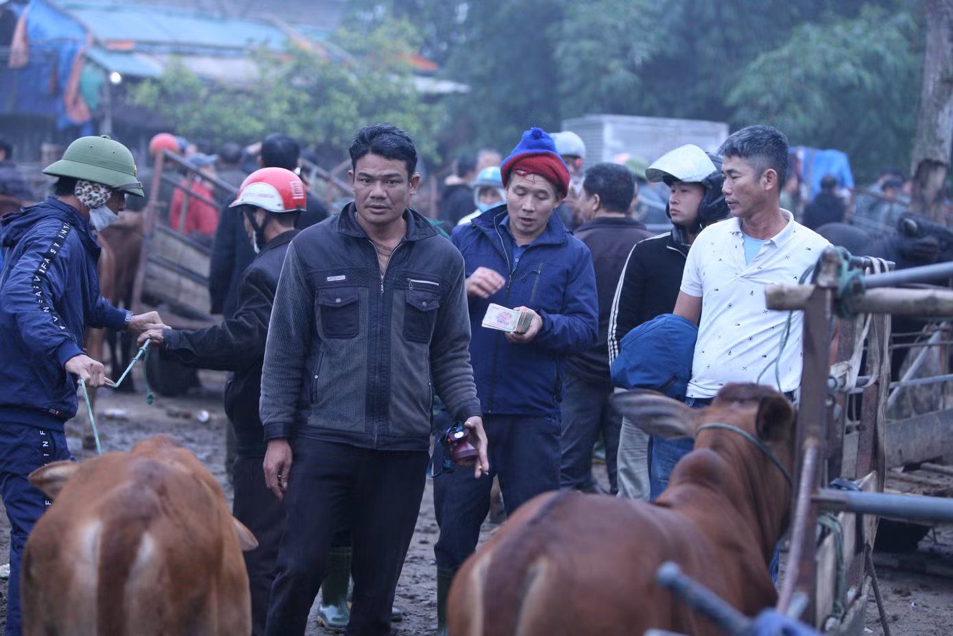 Người mua kẻ bán tụm lại thành từng nhóm, trao đổi giá cả. Việc mua bán diễn ra nhanh chóng, vui vẻ.