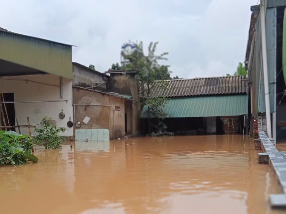 Ông Võ Tá Kỷ - Chủ tịch UBND xã Cẩm Duệ (huyện Cẩm Xuyên) cho biết, lũ từ thượng nguồn đổ về rất nhanh khiến trục đường liên xã đoạn qua trụ sở UBND xã bị ngập khá sâu. Đặc biệt, khoảng 150 hộ dân với hơn 400 nhân khẩu ở 2 thôn Tân Duệ và Quang Trung bị ngập sâu, chia cắt. "Ngập lụt gây thiệt hại lớn về lúa, hoa màu, gà, vịt và một số tài sản. Ngay trong đêm, chúng tôi đã huy động lực lượng của các thôn để sơ tán người già, trẻ em và giúp người dân kê cao tài sản", ông Kỷ nói.