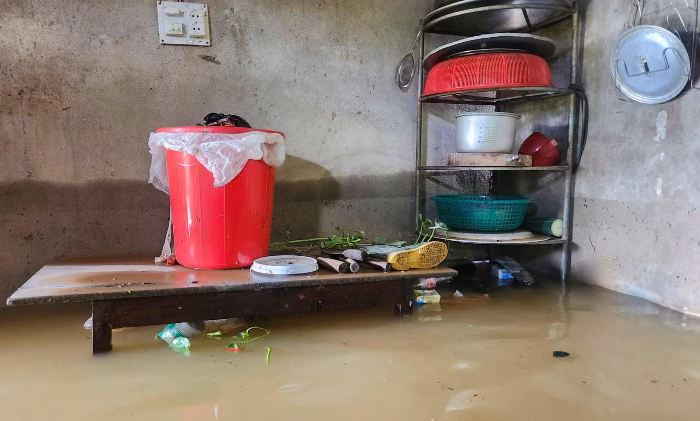 Theo thống kê sơ bộ, toàn huyện Cẩm Xuyên có 690 ha lúa bị ngập, hơn 1.800 tấn lúa bị ướt nước, hơn 175 ha hoa màu bị hư hỏng, hơn 11.000 con gia súc, gia cầm bị cuốn trôi...