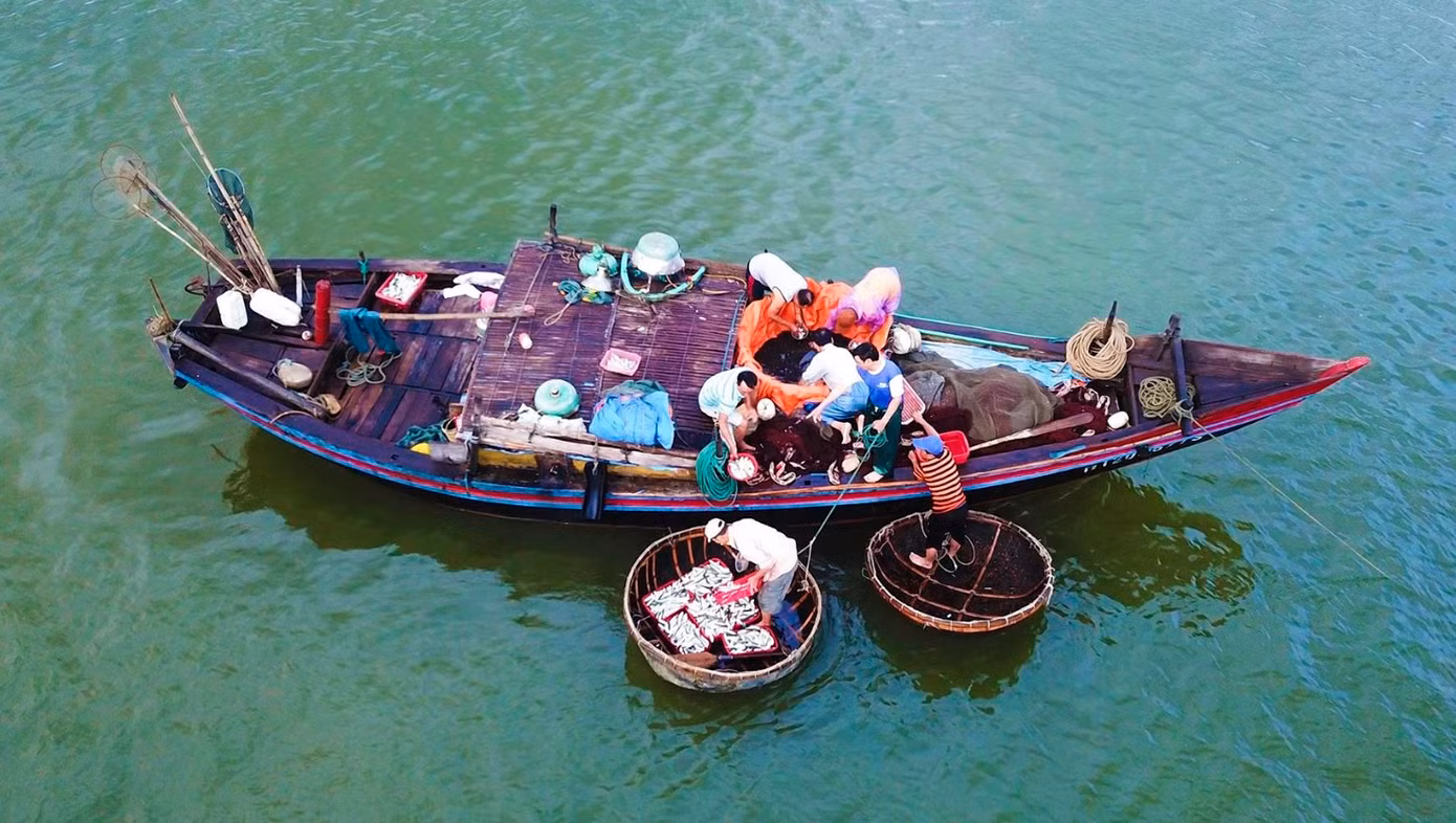 Cứ khoảng 4h sáng mỗi ngày, lúc còn chưa rõ mặt người, chợ hải sản dọc bờ biển đã kín người. Họ là những người dân làng chài, thương lái, chủ nhà hàng và cả du khách tập trung về đây để chờ những chiếc tàu ngoài khơi trở về, mang theo đủ loại hải sản biển tươi sống. Khi tàu dừng cách bờ 15-20m, hải sản được đưa vào bờ bằng thuyền thúng.