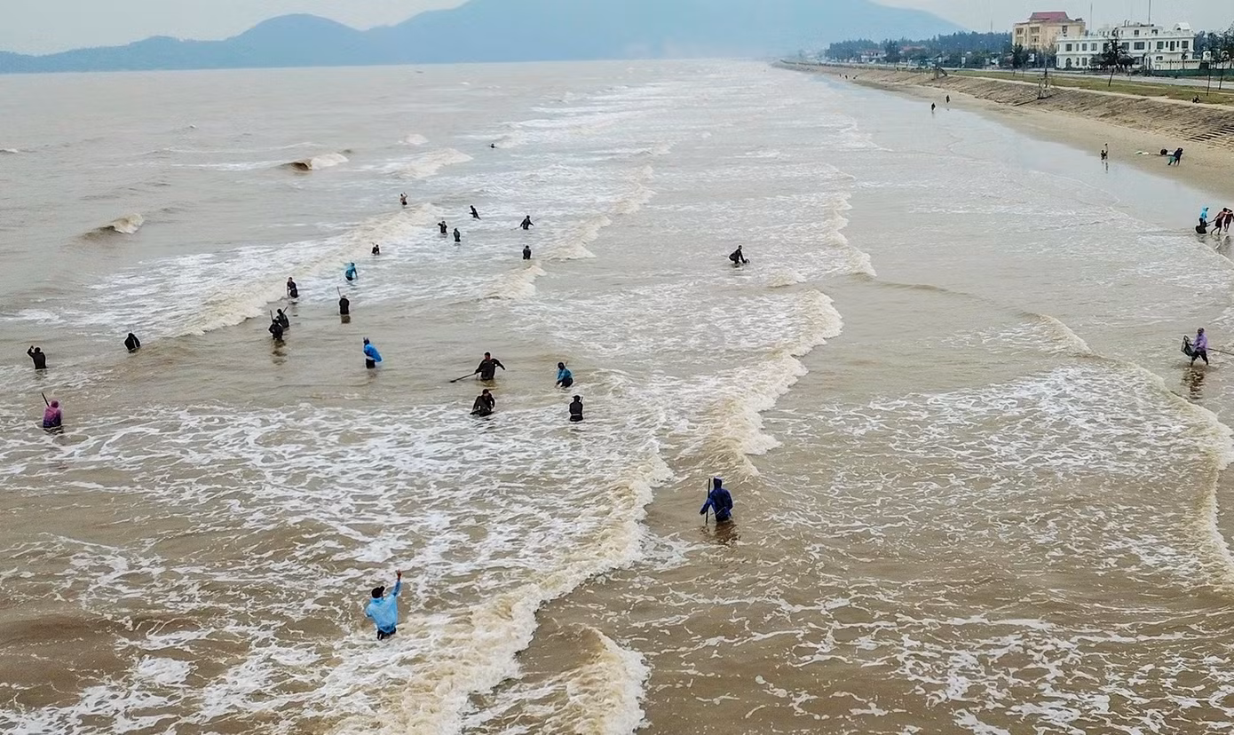 Hai ngày qua, hàng trăm người dân đổ xô ra bờ biển dài hơn 2 km từ xã Thịnh Lộc đến thị trấn Lộc Hà (huyện Lộc Hà, Hà Tĩnh) để vớt “lộc biển” gồm: sò lông, mai, ngao...