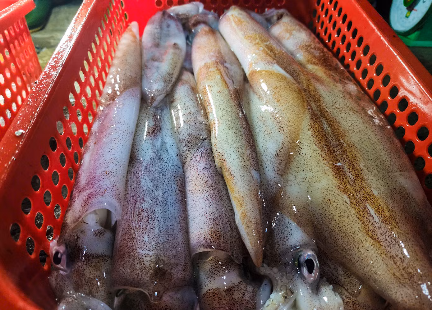 Người dân địa phương mua hải sản từ các thuyền bè của ngư dân đi đánh bắt về để mang ra các chợ huyện trong tỉnh bán kiếm lời. Để có hàng tươi ngon, họ phải đi chợ từ lúc rạng sáng để đón những đoàn thuyền đầu tiên.