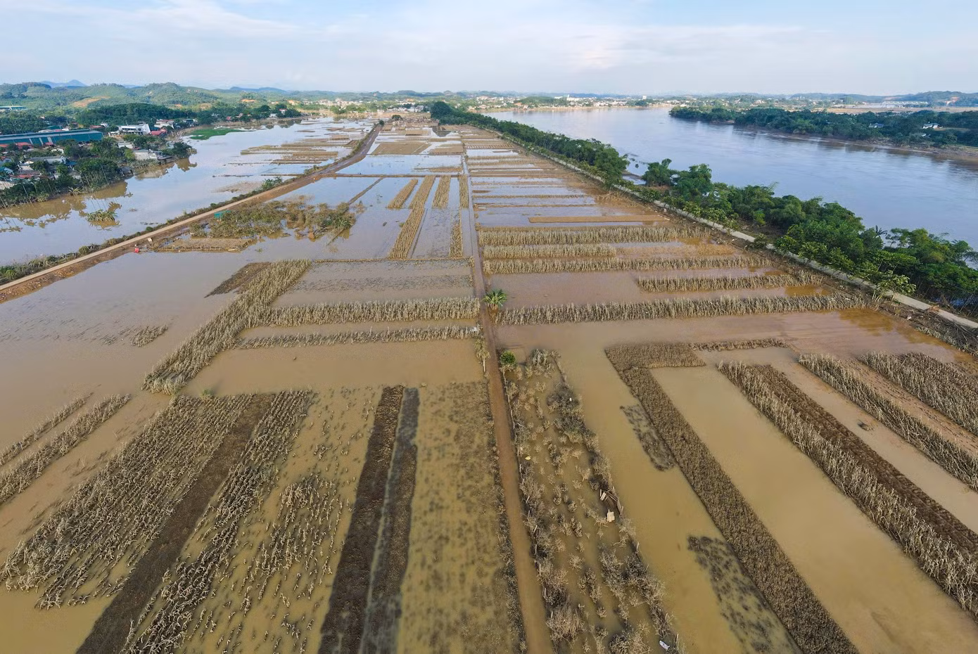 Sau nhiều ngày chìm trong biển nước, cánh đồng trồng rau trên địa bàn xã Tuy Lộc, thành phố Yên Bái dần hiện ra với một màu xám xịt của bùn đất, cây trồng đổ gãy ngổn ngang.