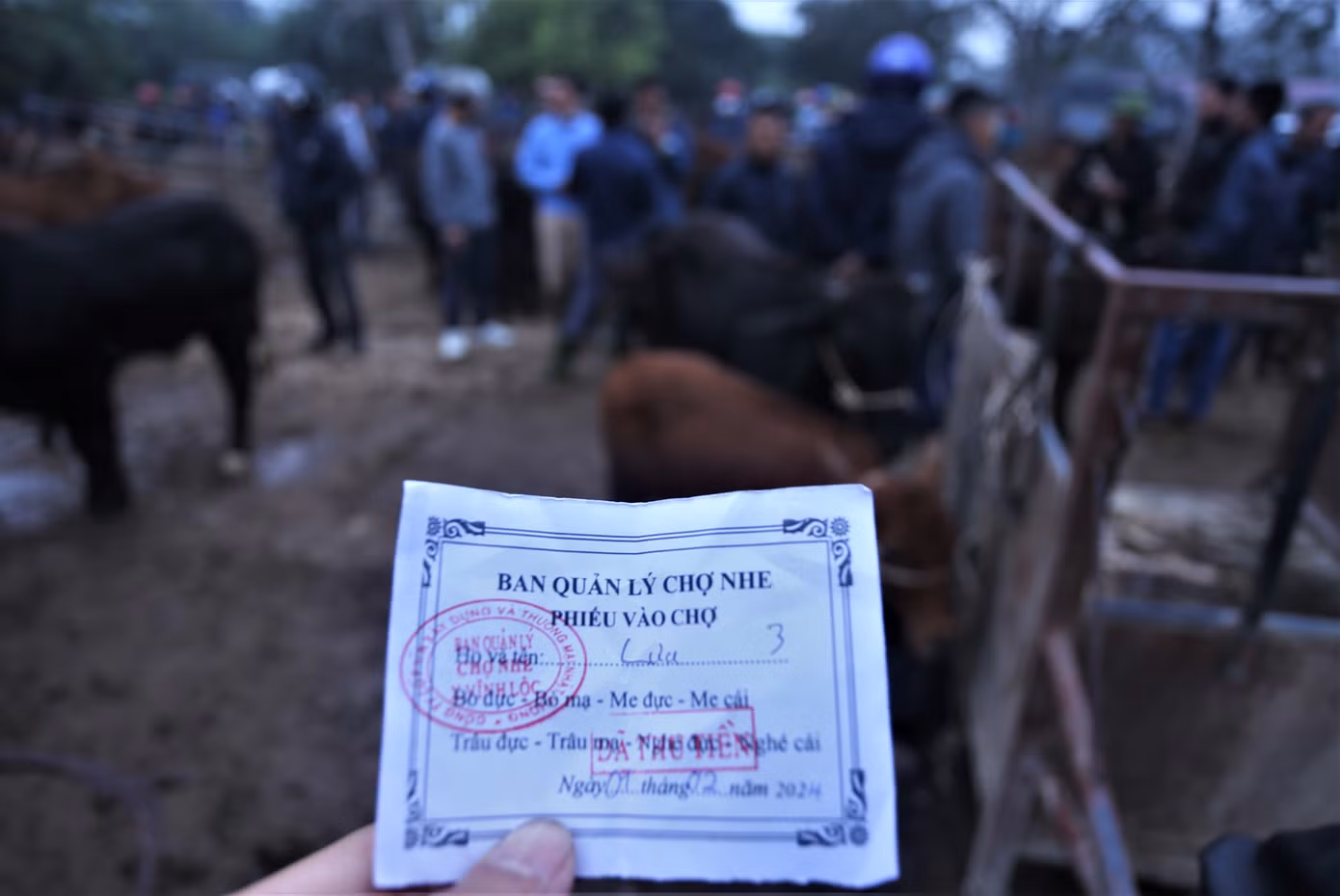Ban quản lý chợ Nhe cũng làm các phiếu cụ thể để việc kiểm soát số lượng gia súc mua bán cũng như dịch bệnh theo quy định.