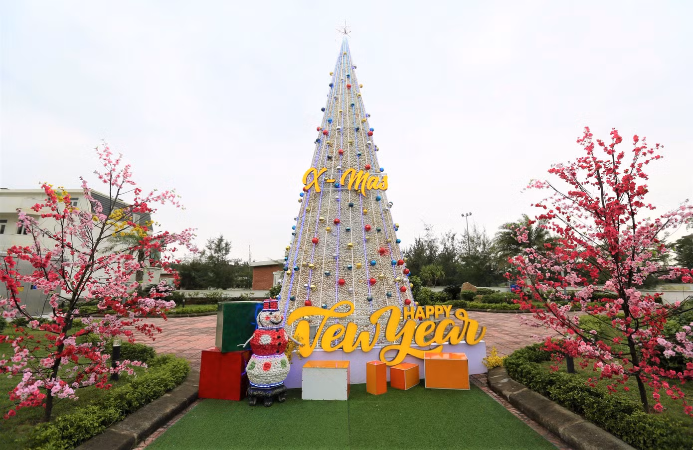Điều đặc biệt của cây thông Noel là được tạo thành từ 100.000 vỏ sò biển ghép với nhau.